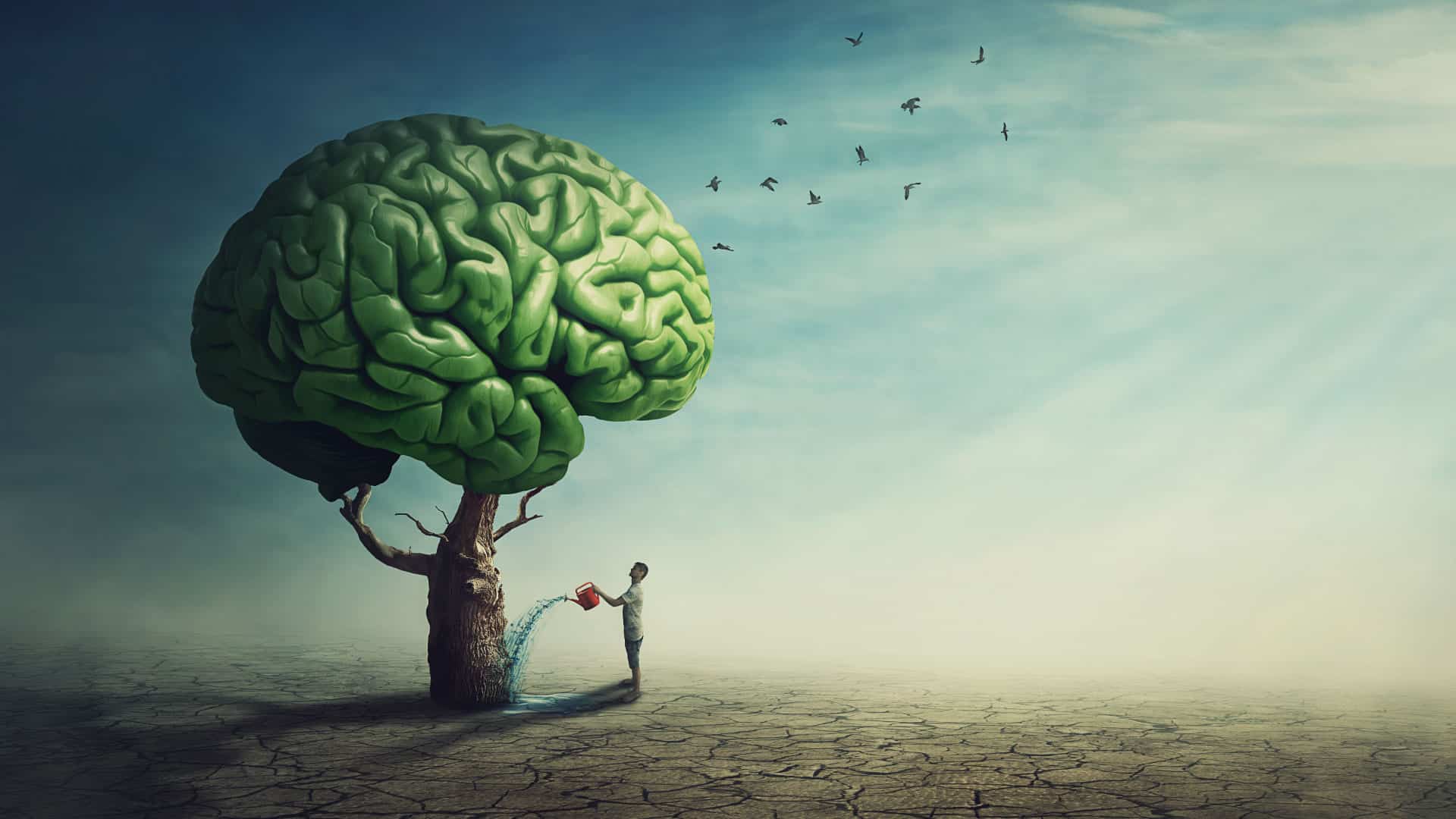 Takes a Village Takes a Village